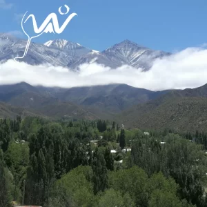 Bodega + Alta Montaña + Valles de Potrerillos / Promo Pago contado