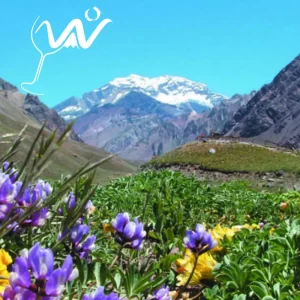 Bodega + Alta Montaña + City Tour / Promo Pago Contado