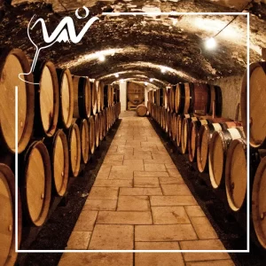 Caminos del Vino