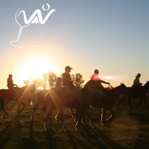 Bodega + Alta Montaña +  Cabalgata al Atardecer