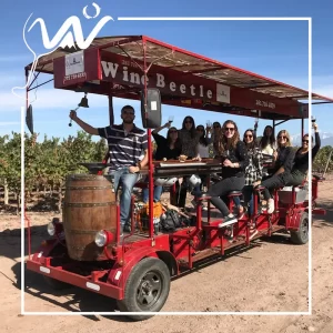 CAMINOS DEL VINO en WINEBEETLE