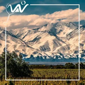 Experiencia VALLE DE UCO