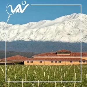 Experiencia Lujan de Cuyo