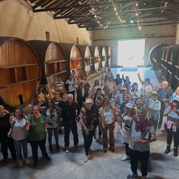 Tour Bodega & Almuerzo CASA CORBEL - Image 3